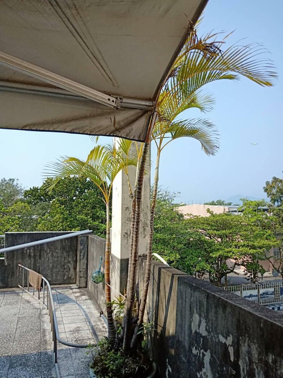 Formosa Backpackers Hostel & Apartment（青年民宿） Hualien Dış mekan fotoğraf